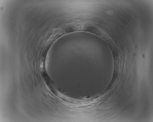 X0000057100035200509161706