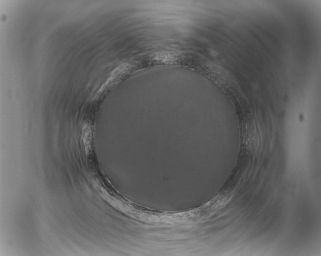 X0000057100036200509161706