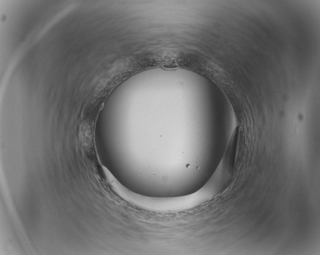 X0000057100037200509161706