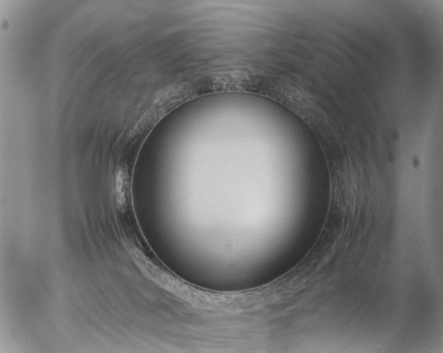 X0000057100038200509161706