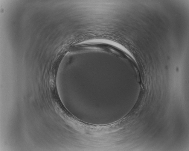 X0000057100039200509161706