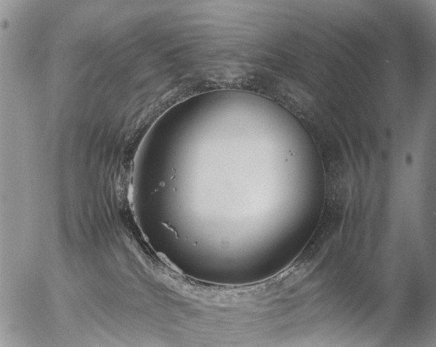 X0000057100040200509161706