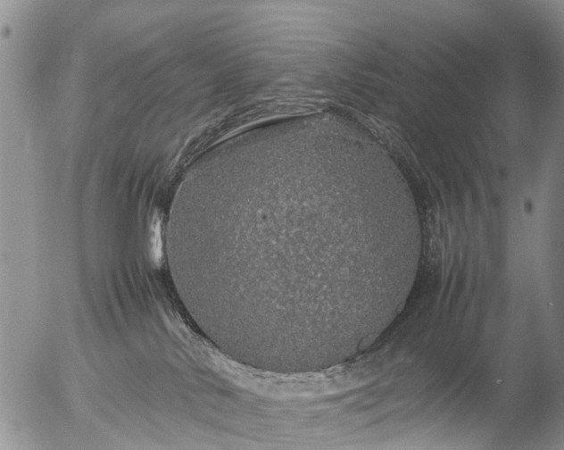 X0000057100042200509161706