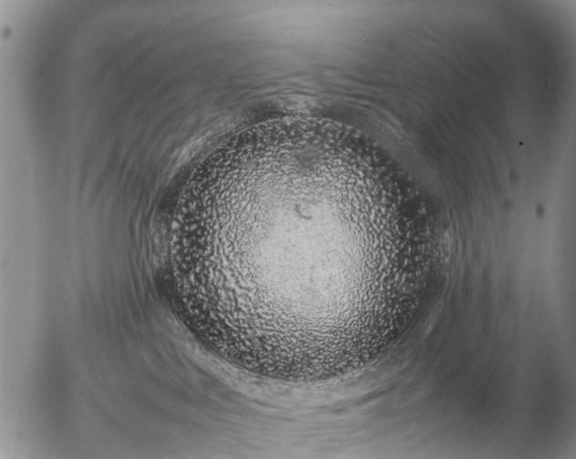 X0000057100043200509161706