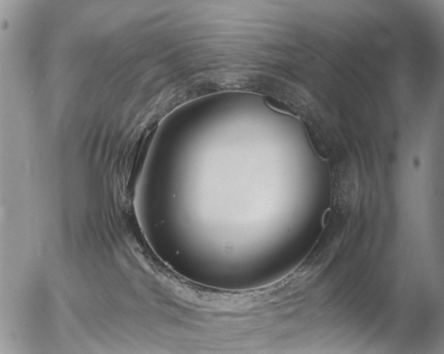 X0000057100044200509161706