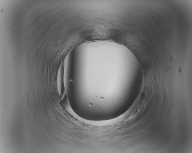 X0000057100045200509161706