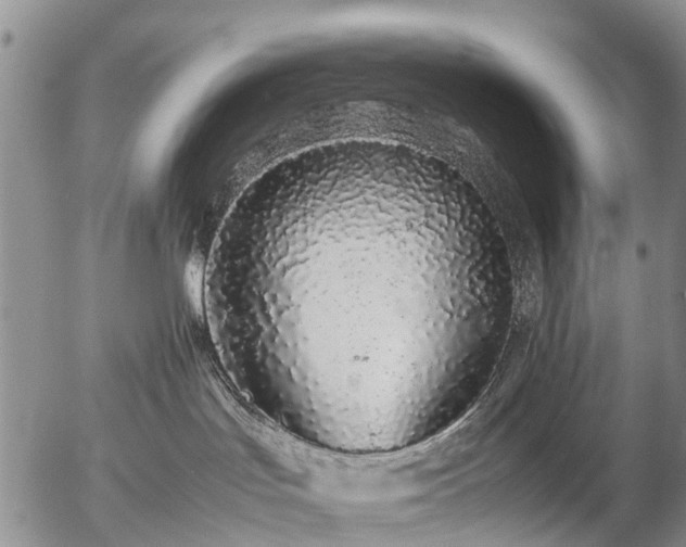 X0000057100047200509161706