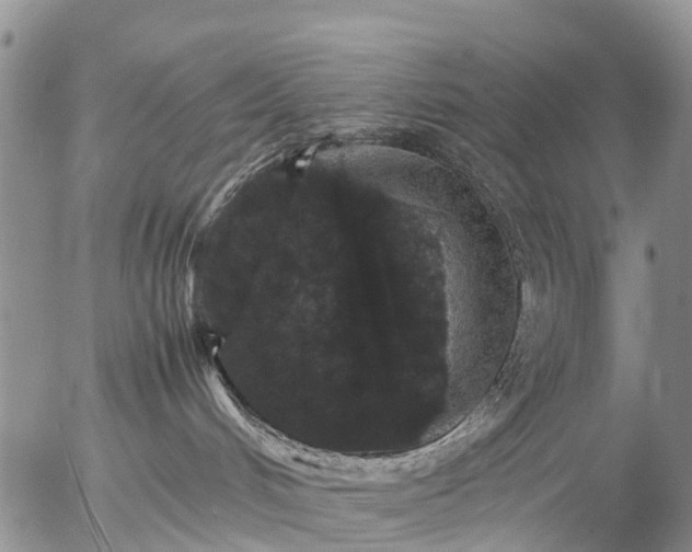 X0000057100048200509161706