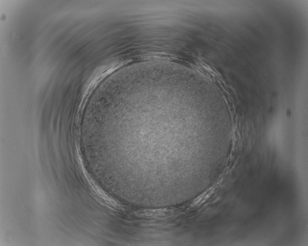 X0000057100049200509161705