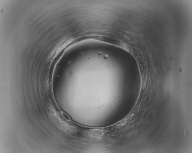 X0000057100050200509161705