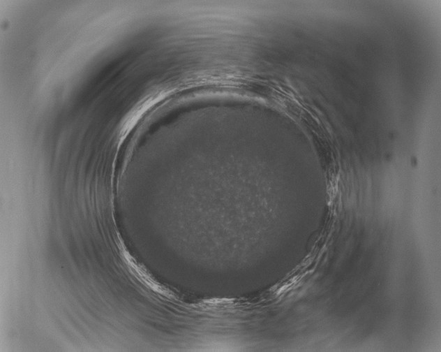 X0000057100052200509161705