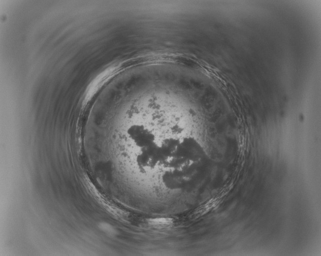 X0000057100053200509161705