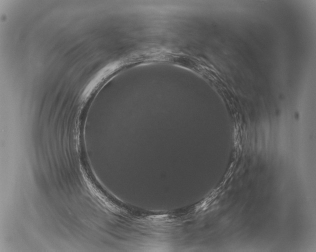 X0000057100054200509161705