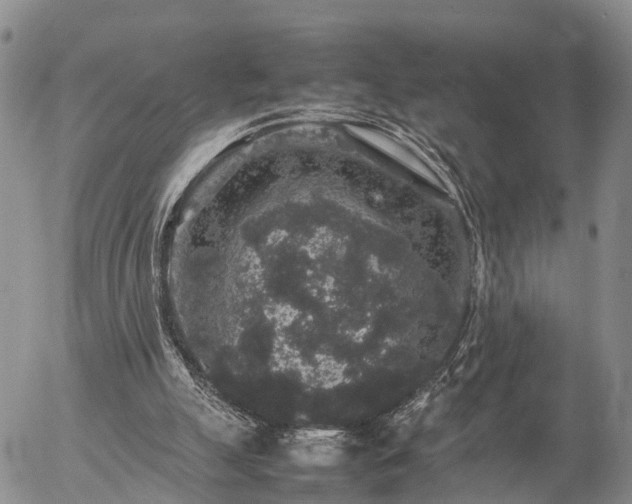 X0000057100055200509161705