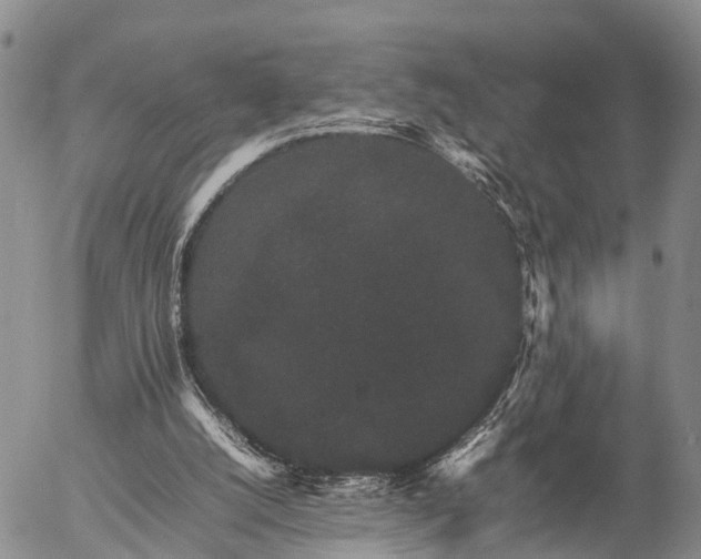 X0000057100056200509161705