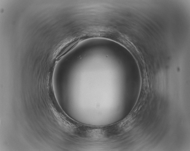 X0000057100058200509161705