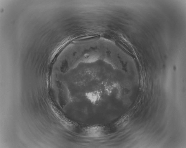 X0000057100059200509161705