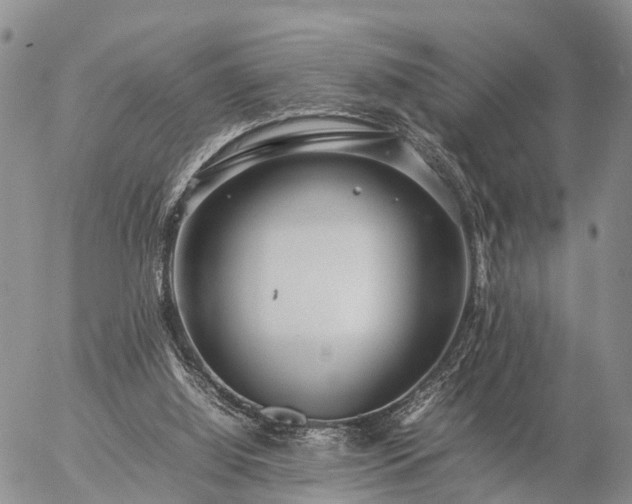 X0000057100060200509161705