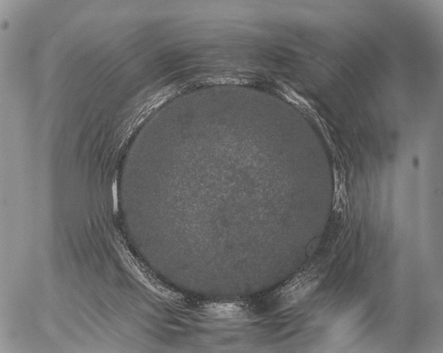 X0000057100061200509161705