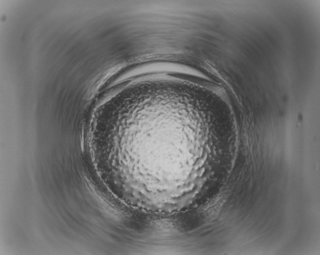 X0000057100062200509161705