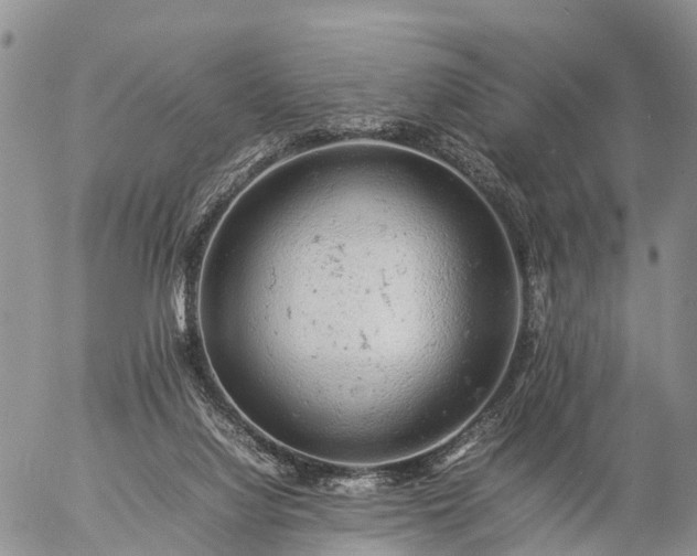 X0000057100068200509161705