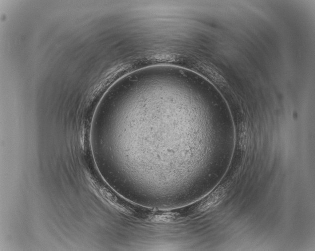 X0000057100072200509161705