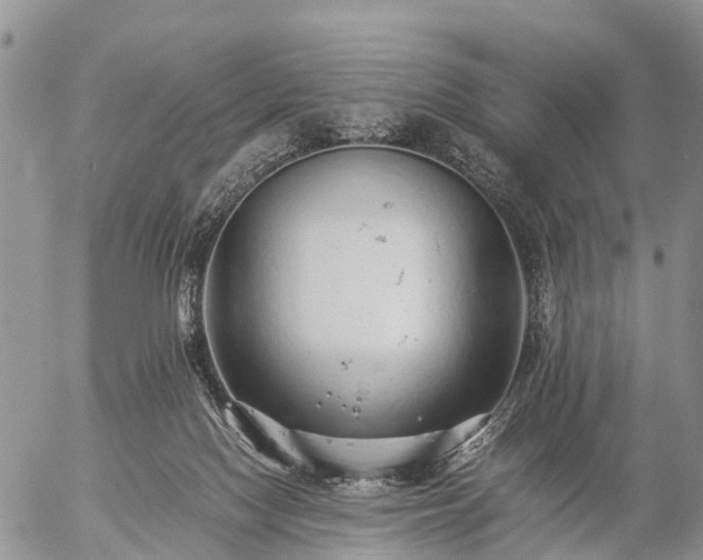 X0000057100074200509161705