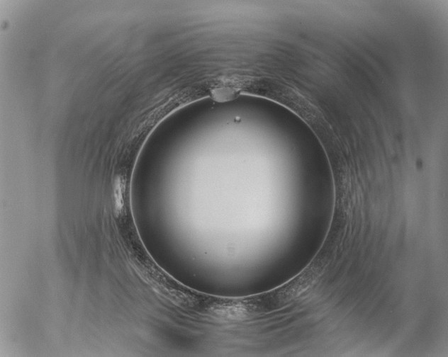 X0000057100075200509161705