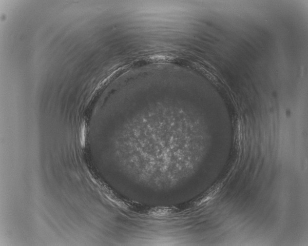 X0000057100076200509161705