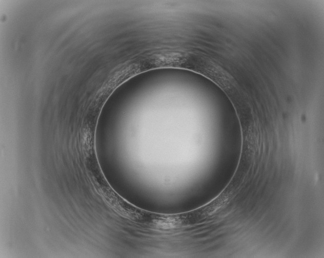 X0000057100079200509161705