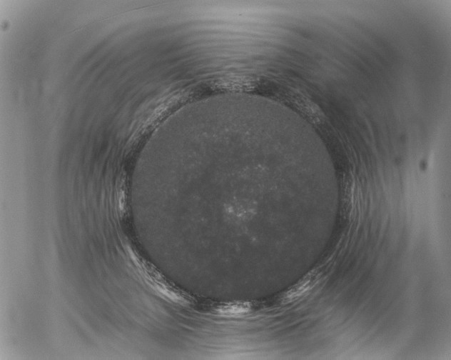 X0000057100080200509161705