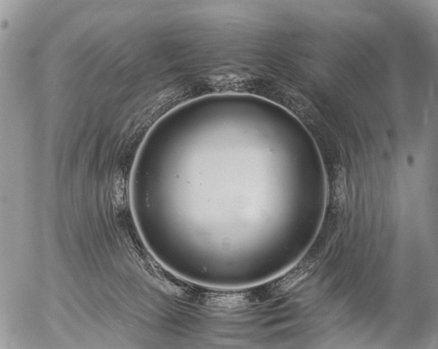 X0000057100081200509161705