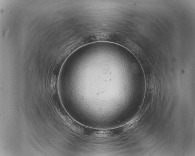 X0000057100082200509161705