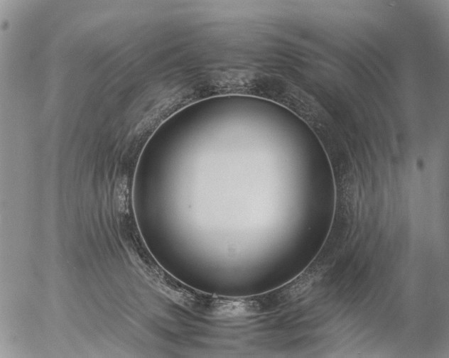 X0000057100083200509161705