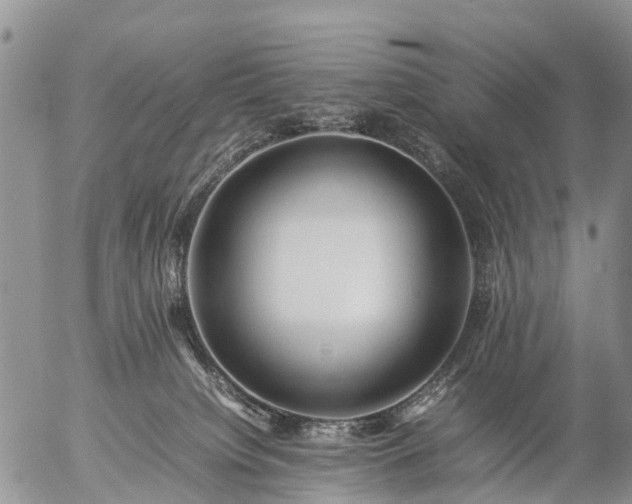 X0000057100084200509161705