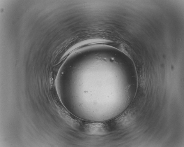 X0000057100085200509161705