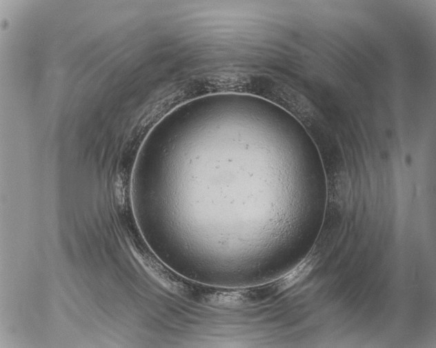 X0000057100086200509161705