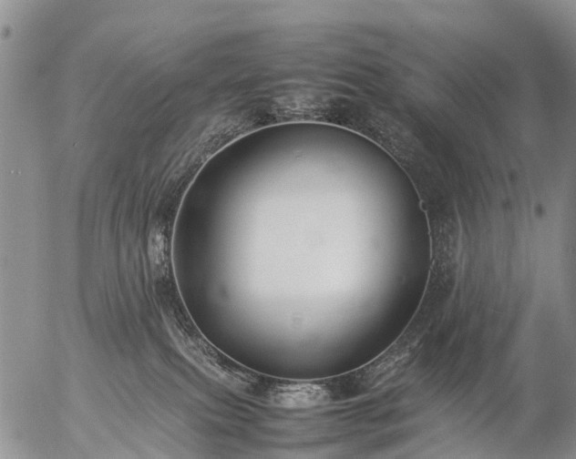 X0000057100087200509161705