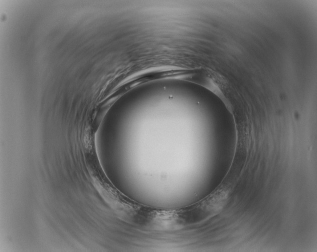 X0000057100088200509161705