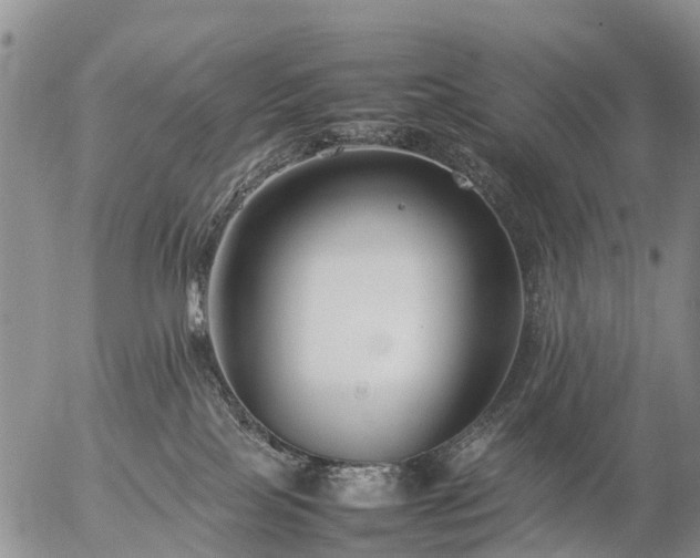 X0000057100089200509161706