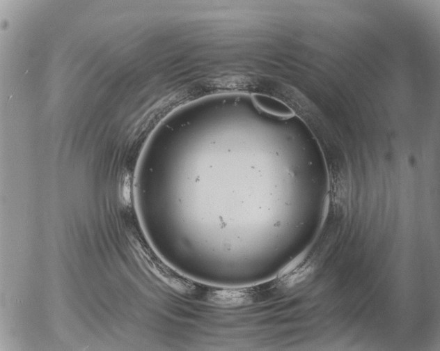 X0000057100095200509161706