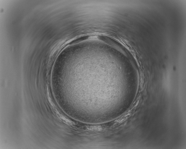 X0000057100097200509161705