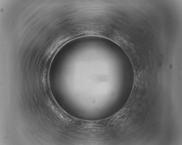 X0000057100098200509161705