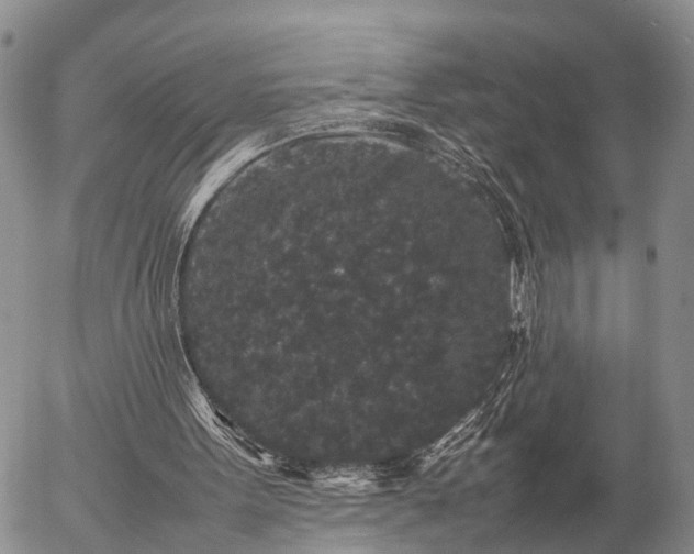 X0000057100099200509161705