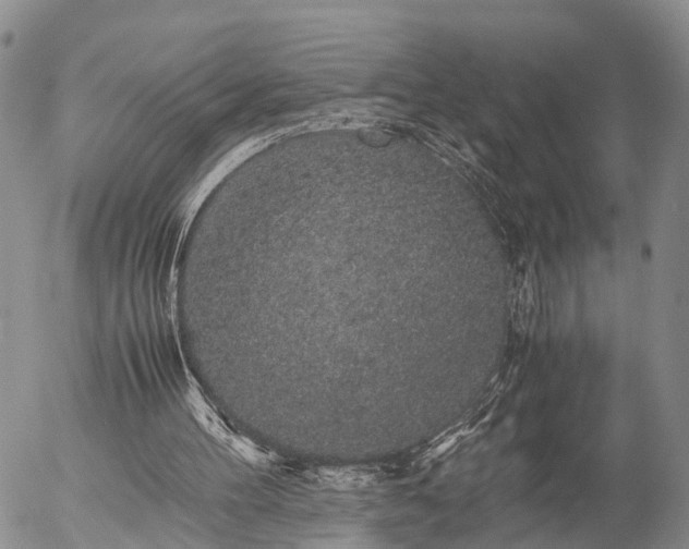 X0000057100100200509161705