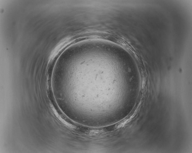 X0000057100101200509161705