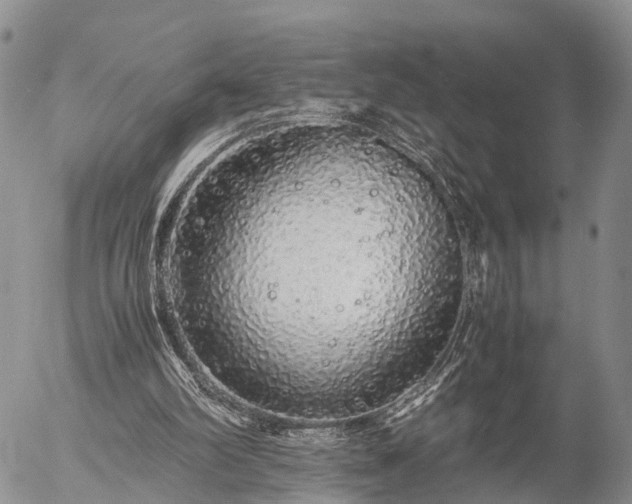 X0000057100102200509161705