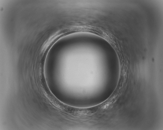 X0000057100103200509161705