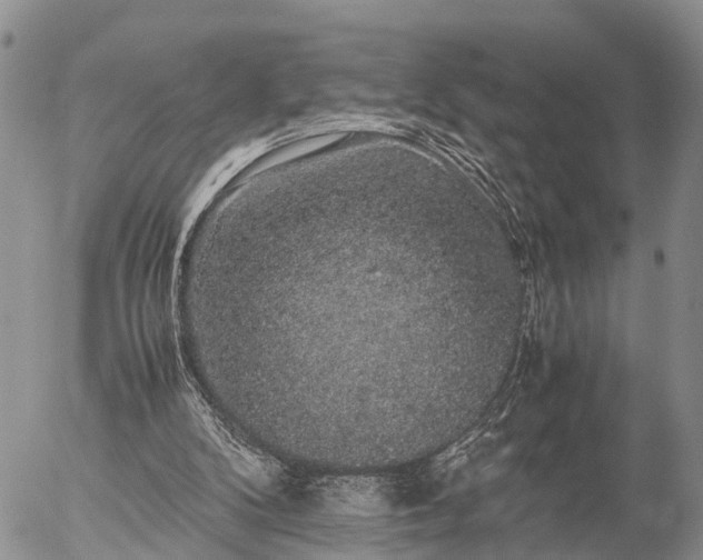 X0000057100104200509161705