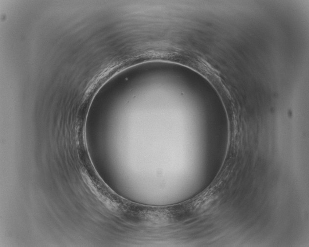 X0000057100106200509161705